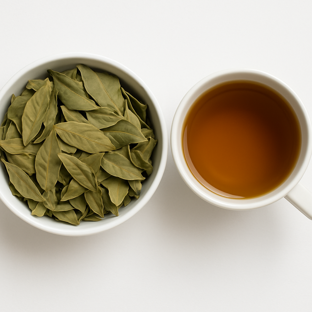 Boldo Tea – Peumus boldus - Té de Boldo