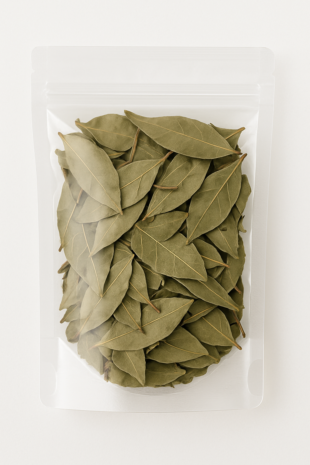 Boldo Tea – Peumus boldus - Té de Boldo