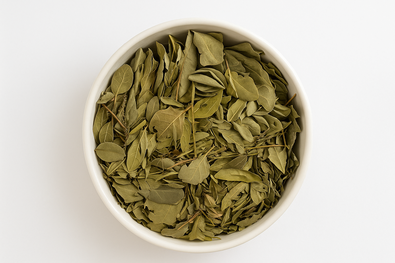 Boldo Tea – Peumus boldus - Té de Boldo