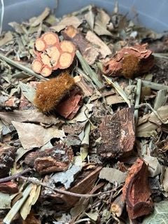 Uric Acid Herbal Blend - Compuesto De Acido Urico - Herbal Supplement 4 oz