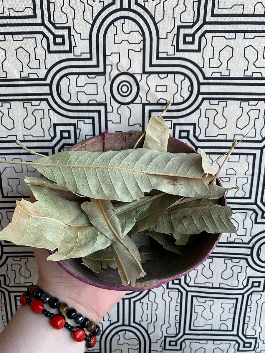 Mango Leaves - Hoja De Mango - Herbal Supplement - 2 oz