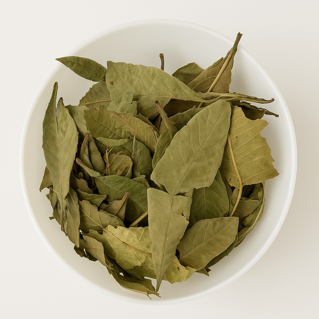 Níspero – Loquat Leaf (Eriobotrya japonica) Hoja De Níspero - 2 oz