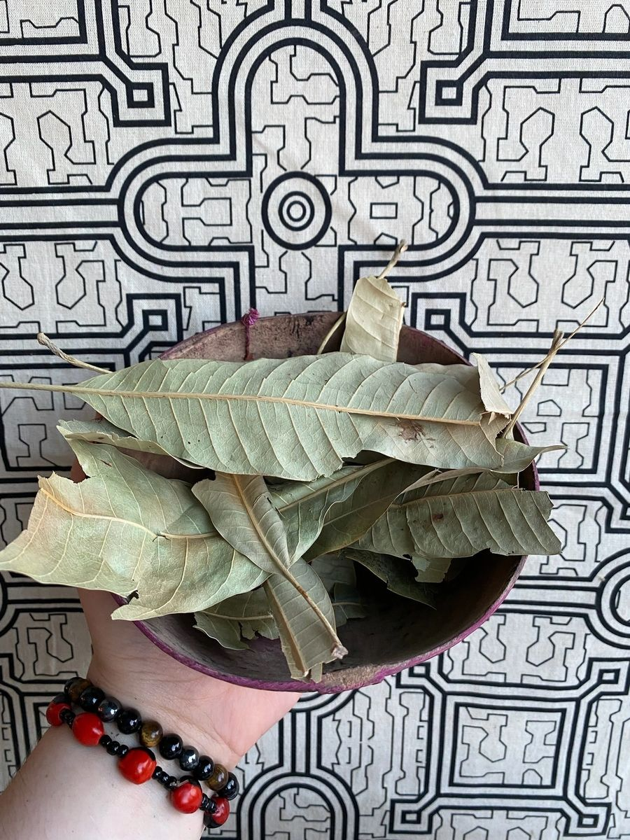 Hoja De Mango - Mango Leaves - Herbal Tea - 1 oz