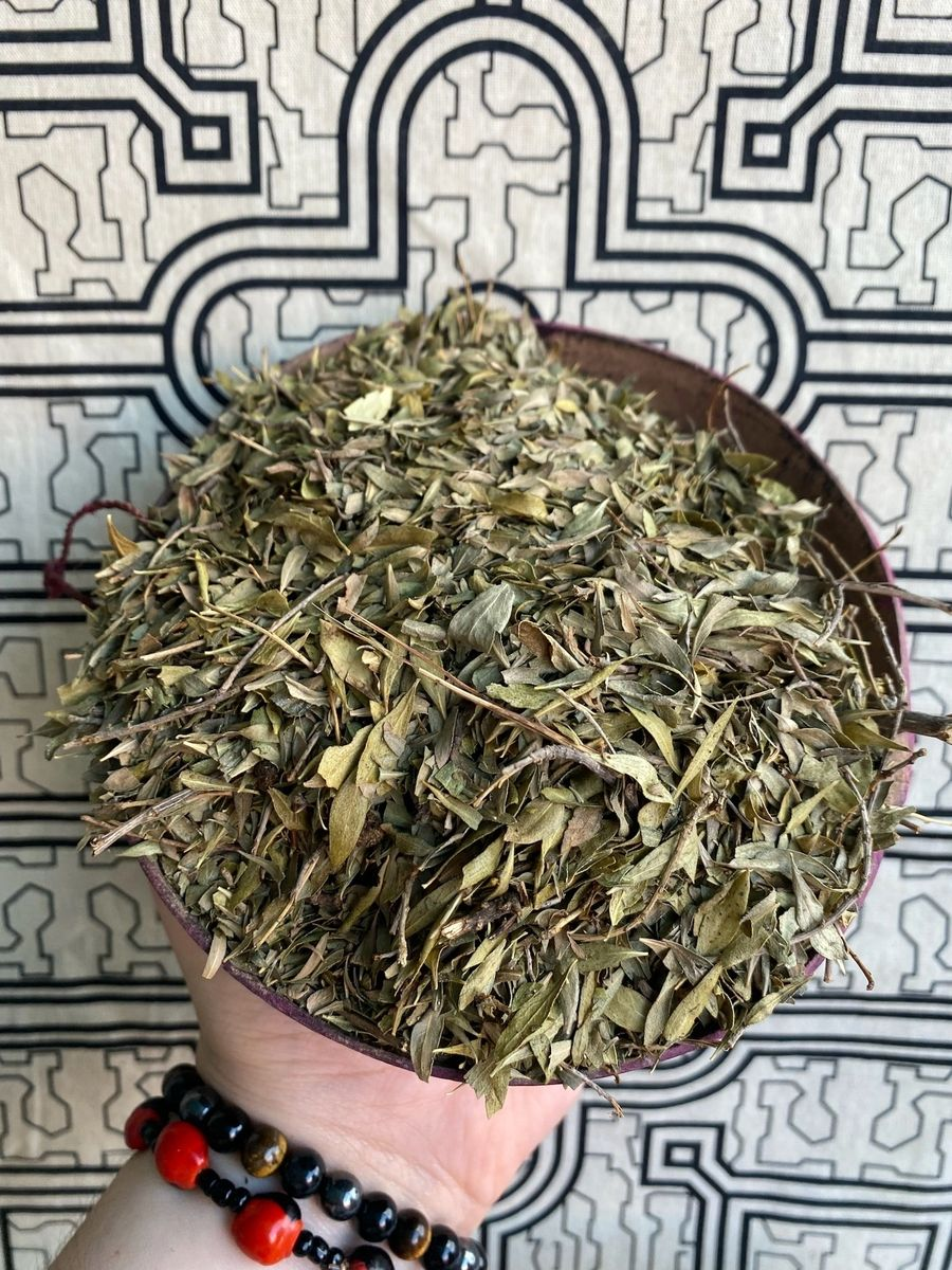 Hoja Sen - Senna Leaf -Cassia Angustifolia - Herbal Tea 3 oz