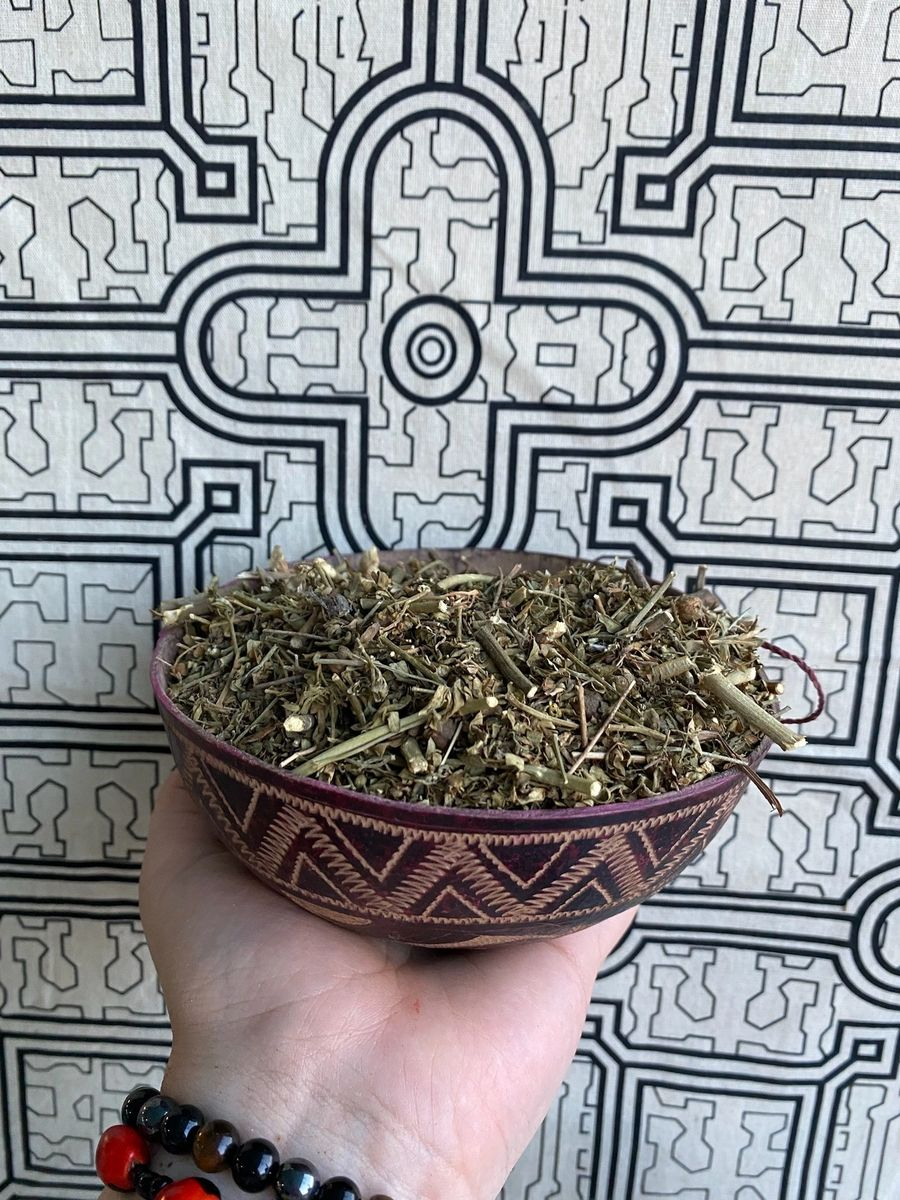 Rue Herb - Ruda Herb -Rue Herbs - Ruta Graveolens - Herbal Supplement 4 oz