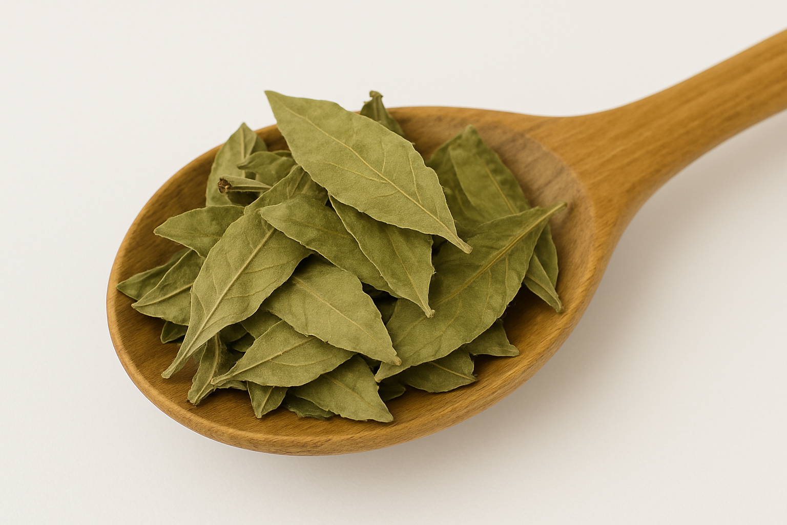 Níspero – Loquat Leaf (Eriobotrya japonica) Hoja De Níspero - 2 oz